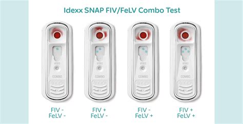 idexx fiv felv|teste rápido fiv felv alere.